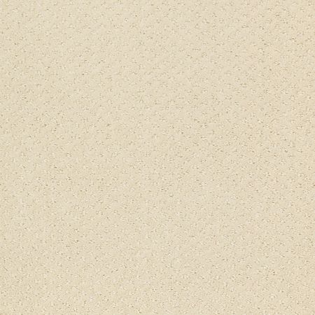 Shaw Floors Genesis Canvas