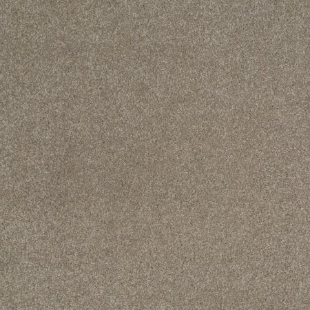 Shaw Floors Foundations Sandy Hollow Classic III 12' Wood Smoke