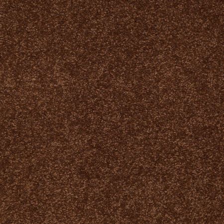 Shaw Floors Sandy Hollow Classic Iv 12' Tortoise Shell