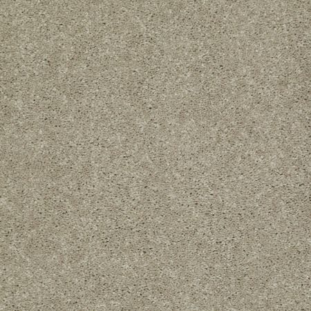 Shaw Floors Foundations Well Played I 12' Honeycomb