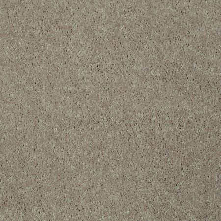 Shaw Floors Foundations Well Played II 12 Natural Beige