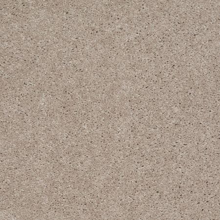 Shaw Floors Foundations Well Played II 15 Natural Beige