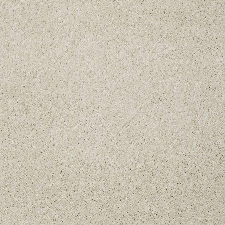 Shaw Floors My Choice II China Pearl