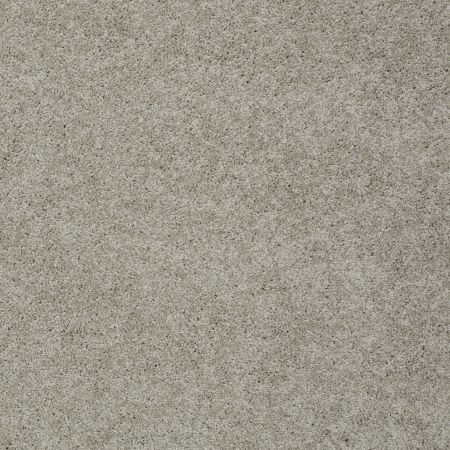 Shaw Floors My Choice III Natural