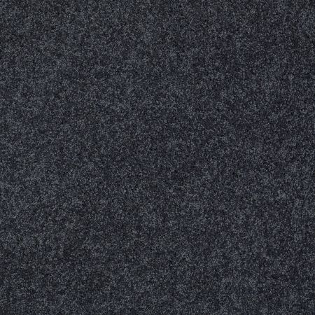 Shaw Floors My Choice III Indigo