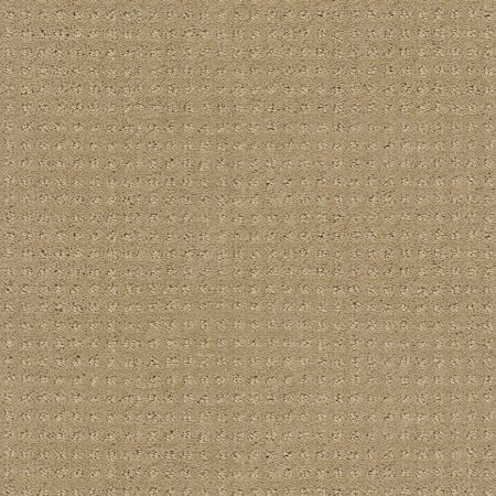 Shaw Floors My Choice Pattern Clay Stone