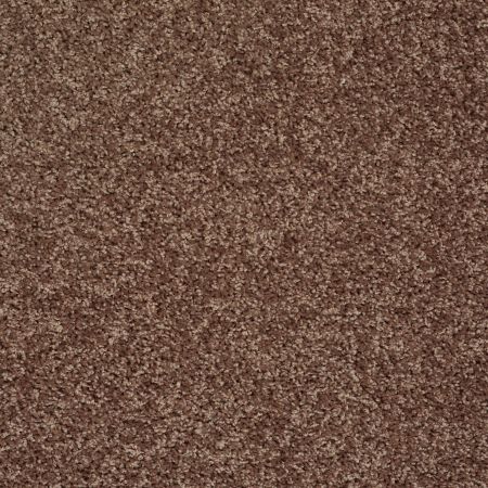 Shaw Floors Value Collections Go Big Net Saddle