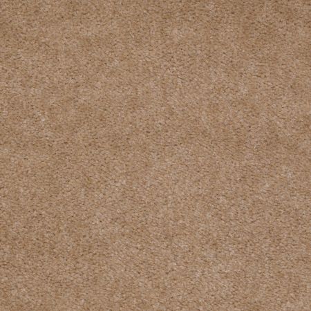 Shaw Floors Value Collections Cascade II Net Tree Trunk