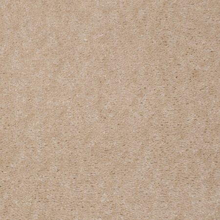 Shaw Floors Value Collections Atherton Net Tea Stain