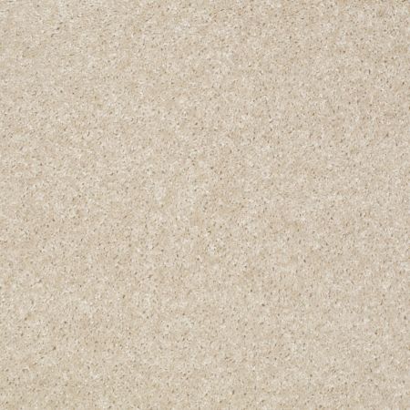 Shaw Floors Value Collections Victory Net Stucco