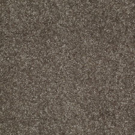 Shaw Floors Value Collections Victory Net Bunkhouse