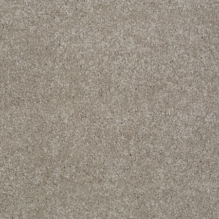 Shaw Floors You Know It Mocha Cream