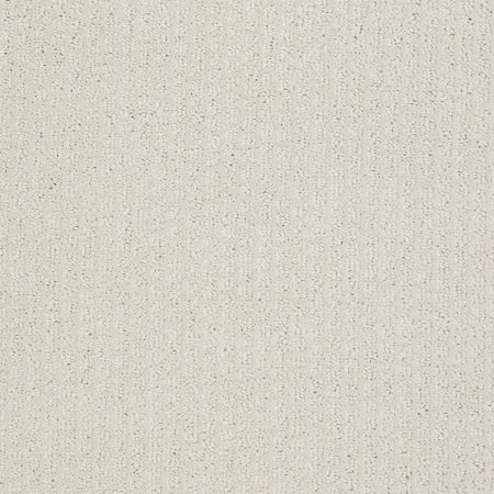 Shaw Floors Simply The Best Pacific Trails Canvas