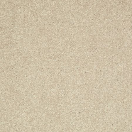Shaw Floors Value Collections Well Played I 15' Net Agate
