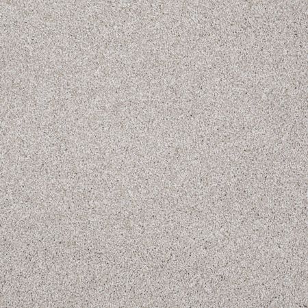 Shaw Floors Value Collections Xvn07 (t) Catnip