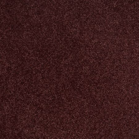 Shaw Floors Value Collections Origins Net Berry