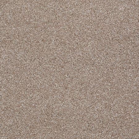 Shaw Floors Value Collections Majority Rules Net Sombrero