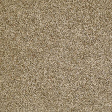 Shaw Floors Great Choice Starcrest