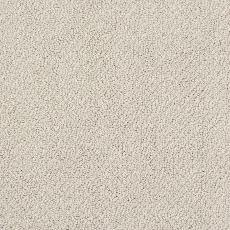Shaw Floors Value Collections Truly Relaxed Loop Net Bare Essence