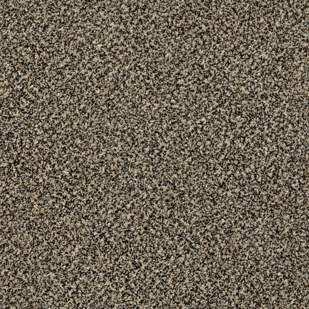 Shaw Floors Simply The Best Because We Can II 12' Muffin Top
