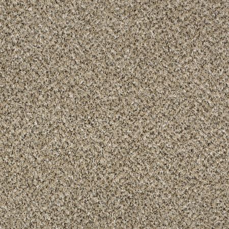 Shaw Floors Simply The Best Because We Can III 12' Sea Shell
