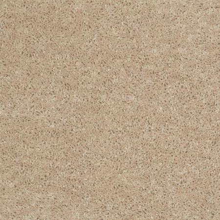 Shaw Floors Value Collections Briceville Classic 12' Net Adobe