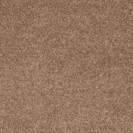 Shaw Floors Value Collections Briceville Classic 15' Net Eagles Nest