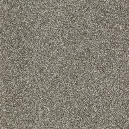 Shaw Floors Value Collections Picturesque Net Pewter