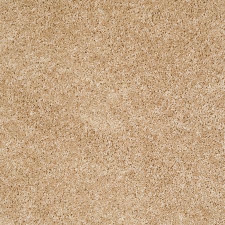 Shaw Floors Commercial Hardwood Vitalize (s) Net Decoupage