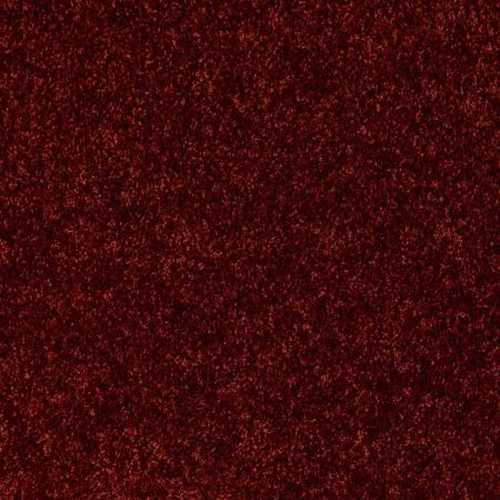 Shaw Floors Commercial Hardwood Vitalize (s) Net Garnet Cluster