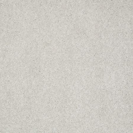 Shaw Floors Value Collections Platinum Texture 12' Net Putty