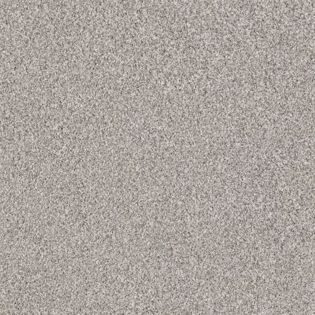 Shaw Floors Foundations Palette Opal Gray