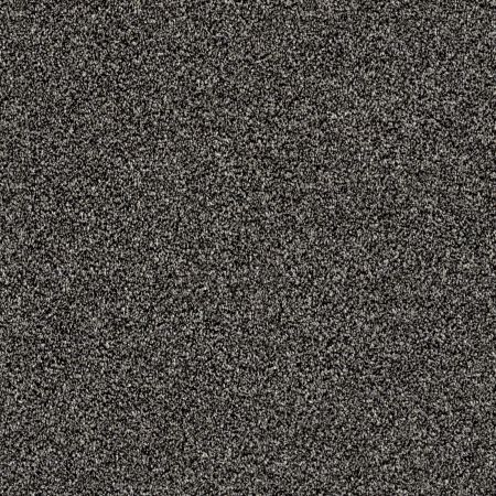 Shaw Floors Simply The Best Of Course We Can II 15' Soot