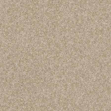 Shaw Floors Simply The Best Of Course We Can III 15' Sepia