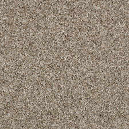 Shaw Floors Shake It Up (a) Weathered