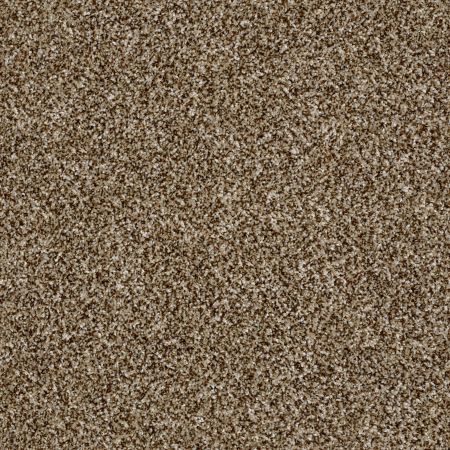 Shaw Floors Shake It Up (a) Bits Of Brown