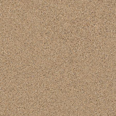 Shaw Floors Foundations Elemental Mix I Bridle Leather