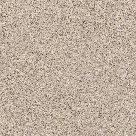 Shaw Floors Foundations Elemental Mix III Gentle Rain