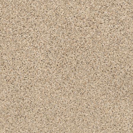 Shaw Floors Foundations Elemental Mix III Sand Castle