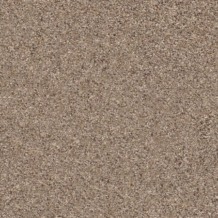 Shaw Floors Mix It Up Cobble Drive