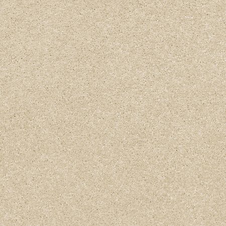 Shaw Floors Pet Perfect Plus Basic Rules Eggshell