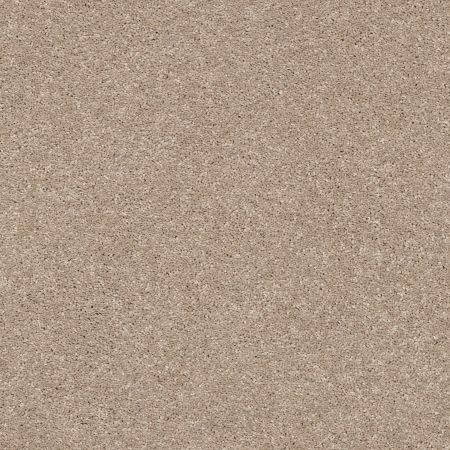 Shaw Floors Pet Perfect Plus Basic Rules Toast