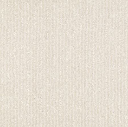 Shaw Floors Pet Perfect Plus Outside The Lines Snow Fall