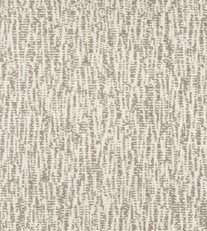 Shaw Floors Pet Perfect Plus Obvious Choice Snow Fall