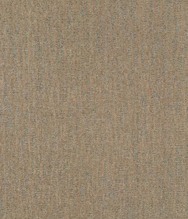 Shaw Floors Pet Perfect Plus Obvious Choice Gold Rush
