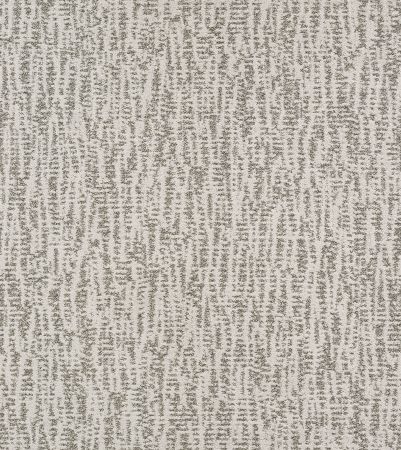 Shaw Floors Pet Perfect Plus Obvious Choice Nickel