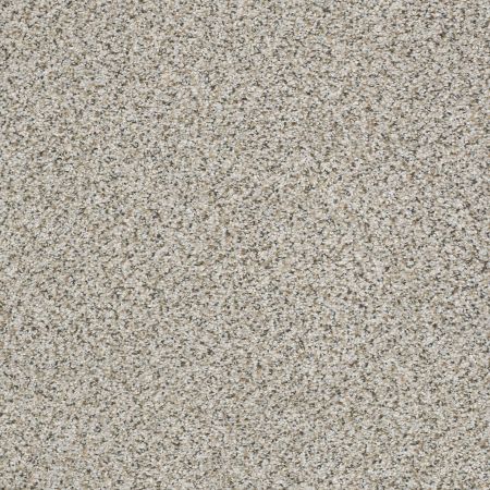 Shaw Floors Foundations Elemental Mix III Net Silver Lining