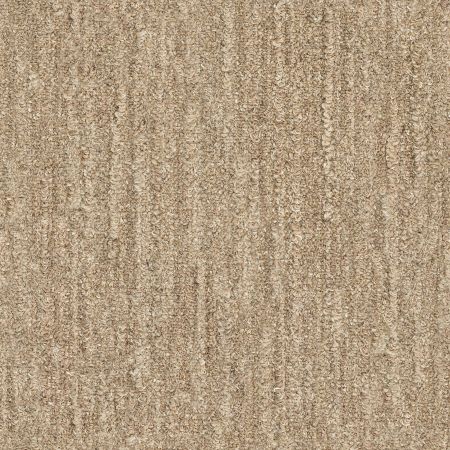 Shaw Floors Foundations Natural Balance 15 Net Driftwood