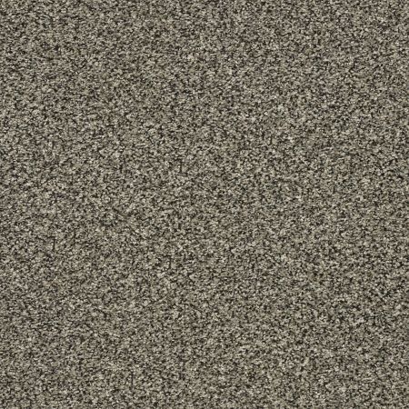 Shaw Floors Pet Perfect Plus Perpetual II Portobello