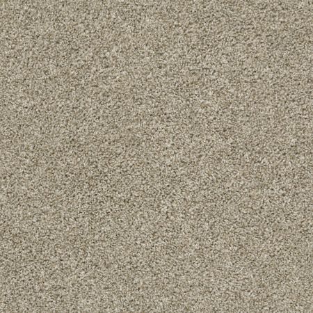 Shaw Floors Shake It Up (t) Stucco